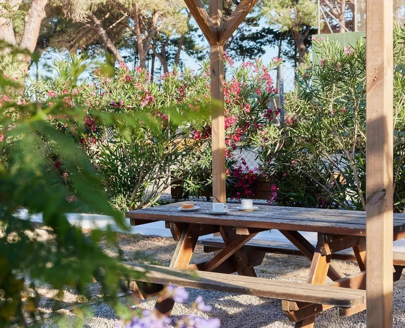 Taiga Conil Hotel Conil De La Frontera 0*,  Spanien
