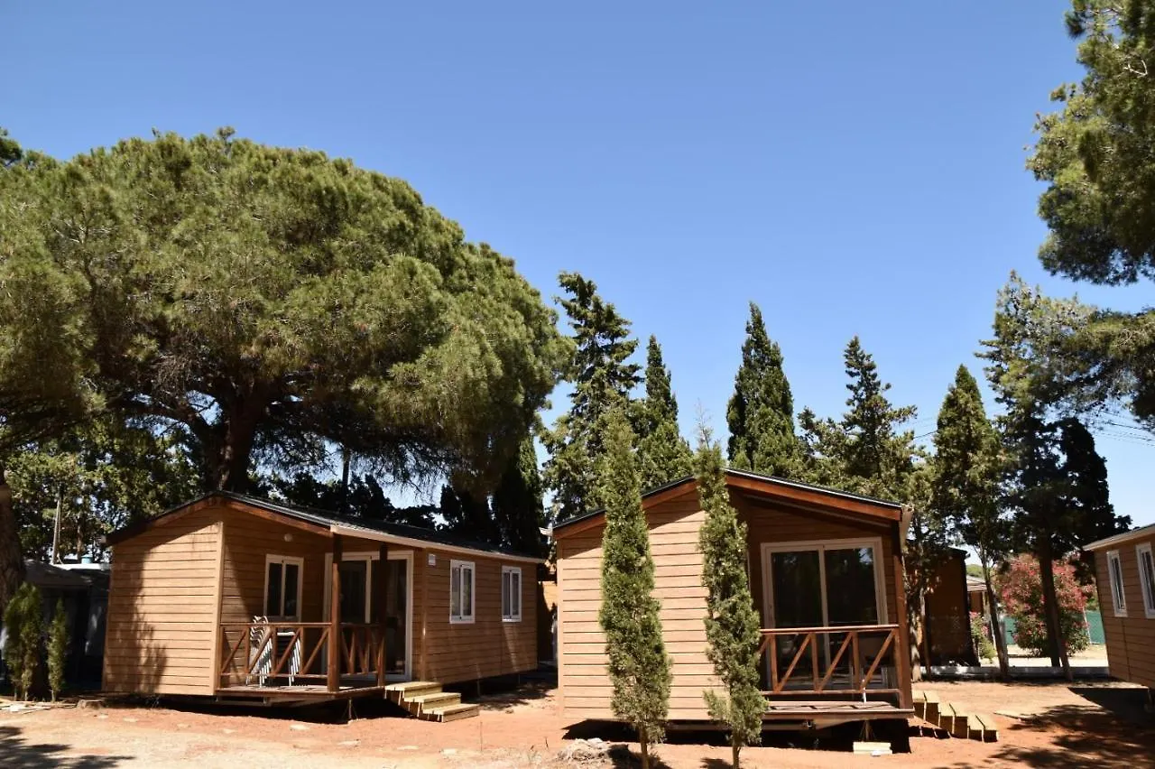 Taiga Conil Hotel Conil De La Frontera
